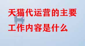 天貓代運營的主要工作內(nèi)容是什么